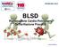 BLSD Rianimazione Cardio-Polmonare Defibrillazione Precoce