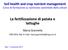 La fertilizzazione di patata e lattughe