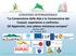 CONVEGNO INTERNAZIONALE La Convenzione delle Alpi e la Convenzione dei Carpazi: esperienze a confronto. Gli Appennini, una catena montuosa europea