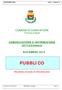 COMUNE DI CASAVATORE. Provincia di Napoli COMUNICAZIONE E INFORMAZIONE ISTITUZIONALE NOVEMBRE 2010 PUBBLICO. Periodico mensile di informazione