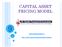 CAPITAL ASSET PRICING MODEL