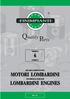 FAMILY 8 RICAMBI ALTERNATIVI PER MOTORI LOMBARDINI NON ORIGINAL PARTS FOR LOMBARDINI ENGINES REL