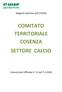 Stagione Sportiva 2017/2018 COMITATO TERRITORIALE COSENZA SETTORE CALCIO