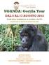 UGANDA: Gorilla Tour