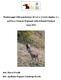 Monitoraggio della popolazione di Cervo (Cervus elaphus, L.) nel Parco Naturale Regionale delle Dolomiti Friulane Anno 2015