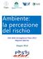 Ambiente: la percezione del rischio. Dati della Sorveglianza Passi 2012 Regione Marche