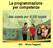 La programmazione per competenze. Silvia Faggioli