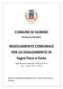 COMUNE DI DUBINO. REGOLAMENTO COMUNALE PER LO SVOLGIMENTO DI Sagre Fiere e Feste. Provincia di Sondrio