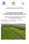 Confronto di cultivar di lattuga in coltura protetta a ciclo autunno-vernino