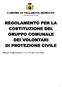 Provincia di Cuneo. Allegato Deliberazione C.C. n. 99 del