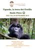 Uganda, la terra dei Gorilla Smile Price