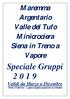 Maremma Argentario Valle del Tufo Minicrociera Siena in Treno a Vapore Speciale Gruppi
