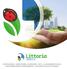 Littoria Littoria   - Littoria Servizi - Responsabile Commerciale: Ermanno Rizza