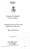 Comune di Casarile CLASSIFICAZIONE ACUSTICA DEL TERRITORIO COMUNALE RELAZIONE TECNICA. (Provincia di Milano) Casarile, Dicembre 2007