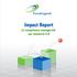 Impact Report Le competenze manageriali per Industria 4.0