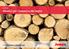 Informazioni settoriali Adesivi per l industria del legno
