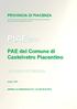 Variante PIAE 2011 con valenza di PAE del Comune di Castelvetro Piacentino Relazione Tecnica PIAE2011 RELAZIONE TECNICA. Provincia di Piacenza