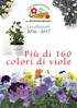 Le collezioni Più di 160 colori di viole