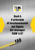 Qual è il principio di funzionamento del Sigma Air manager SAM 4.0? FAQ. Frequently Asked Questions