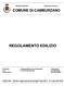 COMUNE DI CAMBURZANO REGOLAMENTO EDILIZIO. Il Sindaco Il Responsabile del procedimento Il Segretario F.to F.to Di Prima Doriana F.