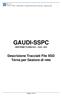 GAUDI SSPC: Tracciato XSD flussi G41-G42-G43 Gestore di rete GAUDI-SSPC GESTIONE FLUSSI G41 G42 - G43