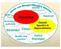 Disabilità. Stranieri. ADHD attenzione e iperattività. DOP oppositivo provocatorio. Assenze. Disagio. Deficit linguaggio. Svantaggio culturale