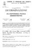 DETERMINAZIONE DEL RESPONSABILE TECNICO AMMINISTRATIVO