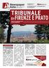 tribunale vendite immobiliari Abitazioni e box TRIBUNALE DI FIRENZE