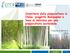 Inventario della pioppicoltura in Italia, progetto Monipoplar e linee di indirizzo per una pioppicoltura sostenibile