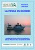 RACCOLTA LA PESCA IN NUMERI OSSERVATORIO SOCIO ECONOMICO DELLA PESCA E DELL ACQUACOLTURA