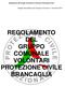 REGOLAMENTO DEL GRUPPO COMUNALE VOLONTARI PROTEZIONE CIVILE BRANCAGLIA