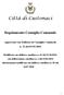Regolamento Consiglio Comunale Approvato con Delibera di Consiglio Comunale n. 21 del 03/05/2004