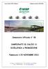 Comunicato Ufficiale n 08. CAMPIONATI DI CALCIO 11 ECCELLENZA e PROMOZIONE. Pubblicato il 20 NOVEMBRE 2012