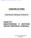COMUNE DI FENIS CAPITOLATO SPECIALE D APPALTO OGGETTO : MANUTENZIONE E GESTIONE SERVIZI CIMITERIALI COMUNALI