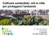 Coltivare sostenibile: orti in città per proteggere l ambiente. Dr. Esther Sanyé-Mengual Nicola Michelon 21 Aprile 2017 Liceo Sabin, Bologna, Italia