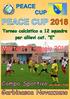 Manifesto Torneo Peace Cup UPF Ticino