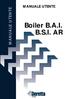 Boiler B.A.I. B.S.I. AR