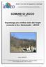 COMUNE DI LECCO. P.za Diaz 1 LECCO. Sopralluogo per verifica stato dei luoghi versante in loc. Germanedo LECCO. Lecco - aprile 2005