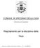 Regolamento per la disciplina della TASI COMUNE DI SPEZZANO DELLA SILA. (Provincia di Cosenza)