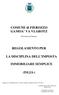 COMUNE di FIEROZZO GAMOA VA VLAROTZ REGOLAMENTO PER LA DISCIPLINA DELL IMPOSTA IMMOBILIARE SEMPLICE (IM.I.S.)