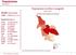 Popolazione. Popolazione iscritta in anagrafe Anno Iscritti in anagrafe -2,6% vs 2016 (Roma -0,02%) Municipio I. Popolazione per z.u.