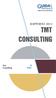 RAPPORTO 2013 TMT CONSULTING II XXIV. Tmt Consulting