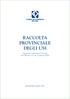 RACCOLTA PROVINCIALE DEGLI USI. (Approvata dalla Giunta Camerale con Delibera n. 17 del 23 gennaio 2006)