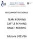 TEAM PENNING CATTLE PENNING RANCH SORTING