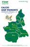 CALCIO UISP PIEMONTE COMUNICATO UFFICIALE n. 14 del 15 maggio 2017