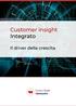 Customer insight Integrato