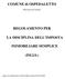 COMUNE di OSPEDALETTO REGOLAMENTO PER LA DISCIPLINA DELL IMPOSTA IMMOBILIARE SEMPLICE (IM.I.S.)