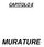 6.1 IL MODULO MURATURE