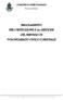 REGOLAMENTO PER L ISTITUZIONE E LA GESTIONE DEL SERVIZIO DI VOLONTARIATO CIVICO COMUNALE