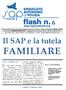 Il SAP e la tutela FAMILIARE. nostra battaglia legale, in particolare, si è nel tempo concentrata per la concreta e corretta applicazione,